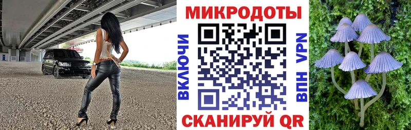 ссылка на мегу сайт магазин наркотиков Лосино-Петровский Псилоцибиновые грибы ЛСД